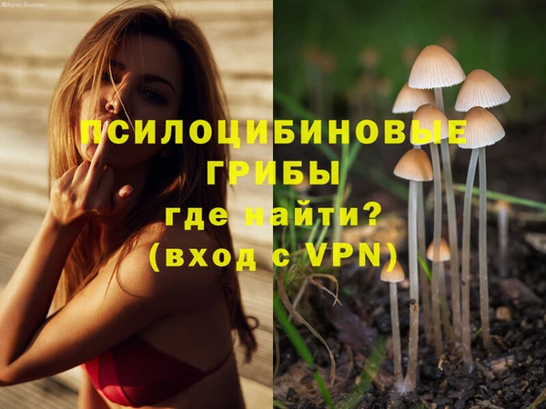 прущие крисы Аркадак