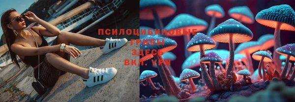 таблы Арсеньев