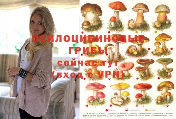 таблы Арсеньев